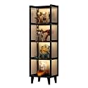 Clear Acrylic Display Case - 3-Tier Multi-Layer Showcase Cabinet for Collectibles, Open Design Floor Storage Shelf, Simple and Elegant Display Solution