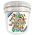CLEAR CREEK Certified Glyphosate Residue Free Khorasan Wheat Berries | 25 lb bucket | Non-GMO Project Verified