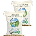 CLEAR CREEK Certified Glyphosate Residue Free Einkorn and Khorasan Wheat Berries | 8 lb (2-4 lb bags) | Non-GMO Project Verified