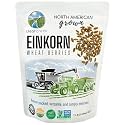 CLEAR CREEK Certified Glyphosate Residue Free Einkorn Wheat Berries | 1 lb | Non-GMO Project Verified
