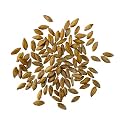 CLEAR CREEK Certified Glyphosate Residue Free Einkorn Wheat Berries | 18 lb bag | Non-GMO Project Verified
