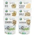 CLEAR CREEK Certified Glyphosate Residue Free Einkorn, Khorasan, Durum, Rye, Spelt, and Barley Berries | 6 lb (6-1 lb bags) | Non-GMO Project Verified