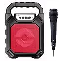 CLEGO® Portable Karaoke Speaker with LED Lights - All in one Bluetooth Speaker System, HD Stereo Sound, and Wired Microphone - Perfect for Parties, Events, and Outdoor Singing &amp; Fun!