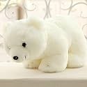 Cute Polar Bear Stuffed Soft Toy for Kids (White-Poller.Bear-25 cm) Lovely Teddy Figure