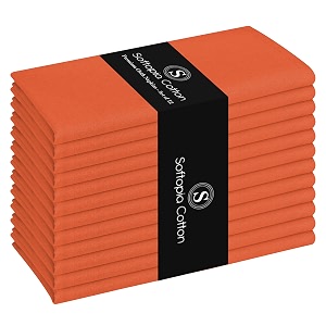 Cloth Napkin 100 Cotton 17 inchx17 inch