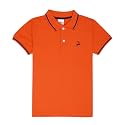 Cloth Theory Boys Cotton Polo T-Shirt for