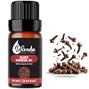 Clove Essential Oil for Diffusers for Home, Clove Oil for Teeth and Gums, Aromatherapy Oils, 100% Pure Natural, 0.34 Fl Oz (10 ml)