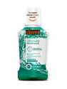 Clove Ultimate Antibacterial Mouthwash Kills 99.0% Germs & Prevents Bad Breath - Cool Mint