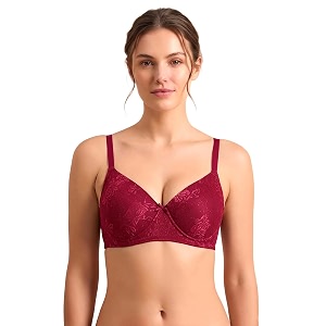 Clovia Womens Lace Lightly Padded Wire Free