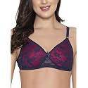 Clovia Women39s Lace Lightly Padded Wire Free