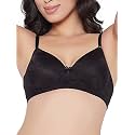 Clovia Women39s Lace Lightly Padded Wire Free