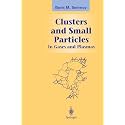 Clusters and Small Particles: In Gases and Plasmas (Graduate Texts in Contemporary Physics)