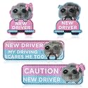 CNhoqc New Student Driver Magnet, 4 Pcs Shivering Hamster Automative Magnet