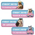 CNhoqc New Student Driver Magnet, 4 Pcs Shivering Cat Car Automative Magnet