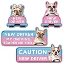 CNhoqc Student Driver Car Magnet, 4 Pcs French Bulldog Automative Magnet