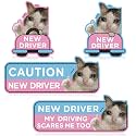 CNhoqc Student New Driver Magnet, 4Pcs Thumbs up Cat Automotive Magnets