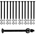 CNQLIS 1/2" x 8" Carriage Bolts Kit, 12PCS Black Carriage Bolts
