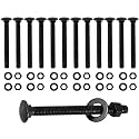 CNQLIS 3/8" x 3-1/2" Carriage Bolts Kit, 50PCS Black Carriage Bolts
