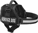 Cocker Fur Harness Black Collar Leash