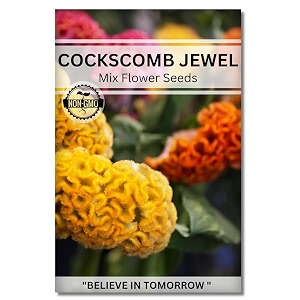 navika seeds  grow with us cockscomb jewel flower seeds for home gardening perfect for terrace gardening winter and summer blooms in india - includes free e-book