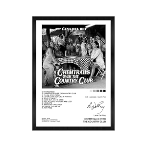 codersparadise lana del rey - chemtrails wall poster frames  aesthetic a4 poster frames for home living room bedroom and office  wall frames artworks  hanging theme posters