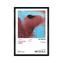 CodersParadise Pink Floyd-Meddle Wall Poster Frames | Aesthetic A4 Poster Frames For Home, Living Room, Bedroom and Office | Wall Frames Artworks | Hanging Theme Posters