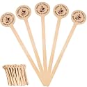 Coffee Stir Sticks 100 Pack, Birch Wooden Coffee Stirrers 5.9" Bulk – Eco-Friendly Disposable Stir Sticks for Coffee, Tea, Espresso, Bar, Restaurant, Office – Make It Happen Engraved