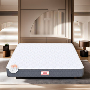 coirfit twin plus 5-zone i-shape tech 5 inch single memory foam mattress l x w 72 inch x 30 inch
