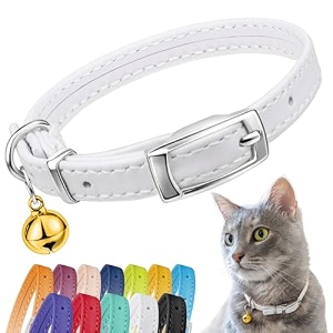 CollarDirect Leather Cat Collar Cat Safety Collar
