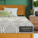 COLOFLY Ortho HR Dual Comfort Reversible Mattress