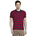 Color Plus Men39s Striped Slim Fit T-Shirt