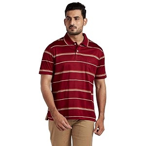 Color Plus Stripes Cotton Regular Fit Mens