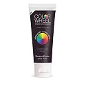 Color Wheel Teeth Whitener (Mint) Instantly Whitens Teeth. Easy to Use. 4 Ounce (Pack of 1)