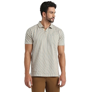 Colorplus Men Regular Fit Stripe Pattern Pure