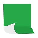 8x10 Ft. Green White 2in1 Photography Backdrop Background Screen for Photostudio Photoshoot YouTube Video Shooting