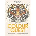 Colour Quest (R): Extreme Colouring Challenges to Complete