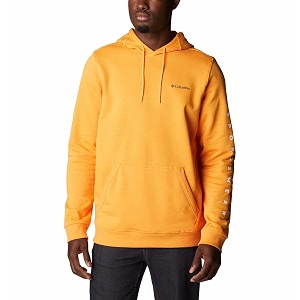 Columbia Men CSC Basic Logo II Hoodie
