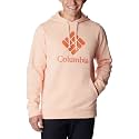 Columbia mens Trek Hoodie