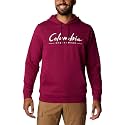 Columbia mens Trek Hoodie
