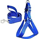 Combo Dog Adjustable Chest Belt Body Harness with Leash for All Breed Dogs and Puppies (Blue) -Large
