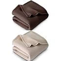 Combo Pack of 2 Single Bed Solid