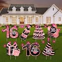 ComboJoy Sweet 16 Birthday Decorations - 7 Pcs Black &amp; Pink Sweet 16 Yard Signs with Stakes, 2 Pcs LED Lights, Sparkling at Night, Weatherproof, Perfect Outdoor Lawn Decorations