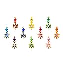 Comet Busters Multicolor Bridal Bindi (BIN003-5) (Multicolor 12)
