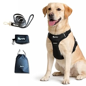comfort adjustable dog harness with free carry bag padded leash amp poop bag holder size m classic black soft padded chest amp back no-pull design safety buckles reflective trim