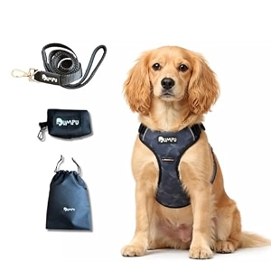comfort adjustable dog harness with free carry bag padded leash amp poop bag holder size xs circles design soft padded chest amp back no-pull design safety buckles reflective trim