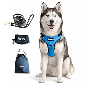 comfort adjustable dog harness with free carry bag padded leash amp poop bag holder size m happy blue soft padded chest amp back no-pull design safety buckles reflective trim