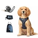Comfort Adjustable Dog Harness with Free Carry Bag, Padded Leash &amp; Poop Bag Holder, Size XS, Circles Design, Soft Padded Chest &amp; Back, No-Pull Design, Safety Buckles, Reflective Trim