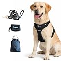 Comfort Adjustable Dog Harness with Free Carry Bag, Padded Leash &amp; Poop Bag Holder, Size L, Classic Black, Soft Padded Chest &amp; Back, No-Pull Design, Safety Buckles, Reflective Trim