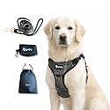 Comfort Adjustable Dog Harness with Free Carry Bag, Padded Leash &amp; Poop Bag Holder, Size XS, Webber Design, Soft Padded Chest &amp; Back, No-Pull Design, Safety Buckles, Reflective Trim