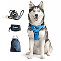 Comfort Adjustable Dog Harness with Free Carry Bag, Padded Leash & Poop Bag Holder, Size S, Happy Blue, Soft Padded Chest & Back, No-Pull Design, Safety Buckles, Reflective Trim